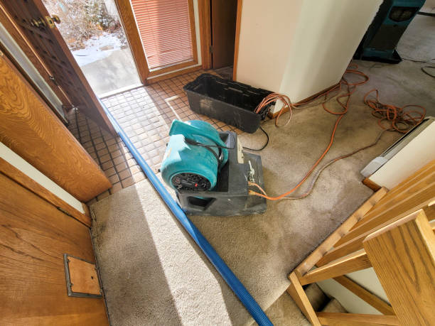 Reliable Surf City, NC Water damage restoration Solutions